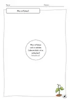 Vorschau - Unterrichtsreihen - Vom Kakaobaum zur Schokolade - Happy Planet - Fairtrade Nachhaltigkeit - Seite 2