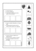 anteprima - Materiale di supporto/inclusione - Classifichiamo le piante in base al fusto - Pagina 3