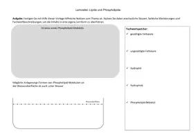 Vorschau - Arbeitsblätter - Notizhilfe Lipide, Phospholipide, Membran - Seite 2