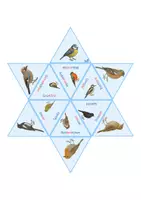 Vorschau - Spiele - Legestern Vögel im Garten - 2-fach differenziert - Seite 3