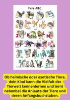 Vorschau - Arbeitsblätter - Materialpaket Alphabet lernen – Buchstabenkarten, ABC-Lernbuch & Poster für Kita & Vorschule - Seite 3
