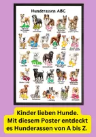 Vorschau - Bildkarten - ABC-Poster-Set mit Tieren, Hunden, Obst & Blumen – Alphabet visuell lernen für Kita & Vorschule - Seite 3