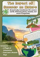 Vorschau - Arbeitsblätter - Summer Bundle Englisch: Holidays, Sports, Nature - Seite 1