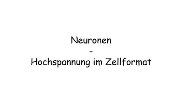 Vorschau - Stundenentwürfe - Nervenzelle - Biologie Oberstufe Komplettpaket: Puzzle, AB, PPT, QR- & Quiz inkl. Lösungen - Seite 2