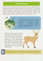 Vorschau - Arbeitsblätter - Forest and Animals auf Englisch - Seite 2
