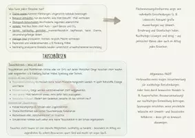 Vorschau - Merkblätter - Zusammenhang und mögliches Spannungsverhältnis von Lebensstil, Konsumverhalten und nachhaltiger Entwicklung am Beispiel Ressourcenschonung, Flächennutzungskonkurrenz, Tauschbörsen - Seite 3