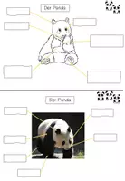 Vorschau - Stationenlernen - Lerntheke: Der Panda (Wildtiere) - Seite 3