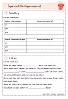 Vorschau - Stationenlernen - Sinne Experiment-Paket - Seite 3