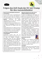 Vorschau - Arbeitsblätter - Arbeitsblätter zum Thema “Auswirkungen von Trumps Zollpolitik auf die deutsche Automobilindustrie” - Seite 3