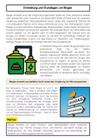 Vorschau - Arbeitsblätter - Erneuerbare Rohstoffe Materialpaket - Seite 2