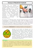 Vorschau - Arbeitsblätter - Pflanzenöl als Energiequelle - Seite 2