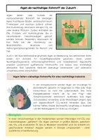 Vorschau - Arbeitsblätter - Algen als Rohstoff der Zukunft: Energie, Bioplastik, Landwirtschaft - Seite 2