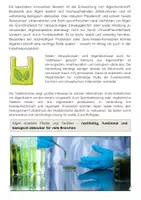 Vorschau - Arbeitsblätter - Algen als Rohstoff der Zukunft: Energie, Bioplastik, Landwirtschaft - Seite 3