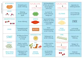 Vorschau - Spiele - Zellatmung - Domino Spiel (Abitur) - Seite 1