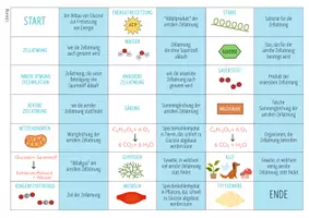 Vorschau - Spiele - Zellatmung - Domino Spiel (Abitur) - Seite 2