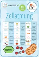 Vorschau - Spiele - Zellatmung - Domino Spiel (Abitur) - Deckblatt
