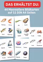 Vorschau - Bildkarten - Meerestiere kennenlernen mit 44 Aquarellkarten – Sprachförderung und Sachunterricht im Set - Seite 1