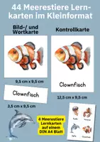 Vorschau - Bildkarten - Meerestiere kennenlernen mit 44 Aquarellkarten – Sprachförderung und Sachunterricht im Set - Seite 3