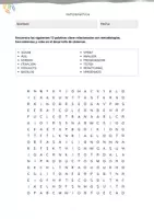 Vista previa - Unidades / Secuencias / Situaciones de Aprendizaje - Sopas de letras y crucigramas sobre informática y programación - página 2