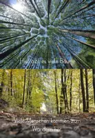 Vorschau - Stationenlernen - Materialpaket Wald - Seite 3
