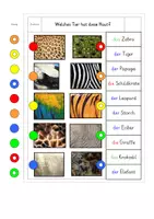 Vorschau - Stationenlernen - Lernkarte Zootiere Wildtiere Haut Fell Federn Wahrnehmung lesen - Deckblatt