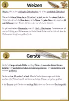Vorschau - Unterrichtsreihen - Wintermaterialpaket Schulgarten - Seite 2