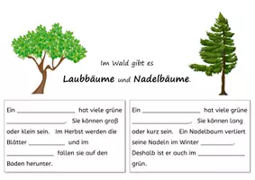 Vorschau - Arbeitsblätter - Unterschied Laubbaum und Nadelbaum differenziert - Seite 1