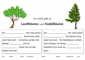 Vorschau - Arbeitsblätter - Unterschied Laubbaum und Nadelbaum differenziert - Deckblatt