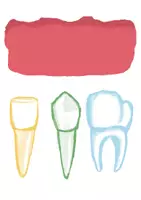 Vorschau - Präsentationen/Tafelbilder - Unsere Zähne – Milchzähne und bleibende Zähne - Tafelbild - Seite 1