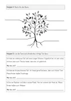 Vorschau - Test - Klassenarbeit Test Ökosystem Wald - Seite 1