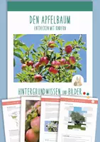 Vorschau - Merkblätter - DER APFELBAUM – Hintergrundwissen und Bildmaterial - Deckblatt