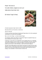 Vorschau - Text - Geschichte zum Psalm 139 - wie ein Vogel im Nest - Deckblatt
