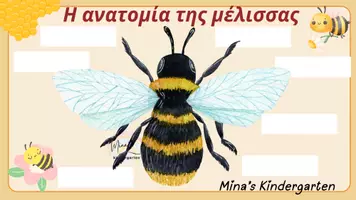 Προεπισκόπηση - Flashcards - Η ΖΩΗ ΤΗΣ ΜΕΛΙΣΣΑΣ-ΚΥΚΛΟΣ ΖΩΗΣ-ΠΑΓΚΟΣΜΙΑ ΗΜΕΡΑ ΜΕΛΙΣΣΑΣ 20 ΜΑΙΟΥ - Σελίδα 3
