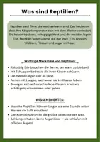 Vorschau - Arbeitsblätter - Reptilien im Sachunterricht (3 & 4.Klasse): Arbeitsblätter - Seite 1