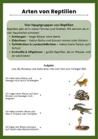 Vorschau - Arbeitsblätter - Reptilien im Sachunterricht (3 & 4.Klasse): Arbeitsblätter - Seite 2