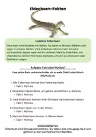 Vorschau - Arbeitsblätter - Reptilien im Sachunterricht (3 & 4.Klasse): Arbeitsblätter - Seite 3