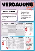 Vorschau - Stundenentwürfe - Materialpaket Verdauungssystem - Deckblatt