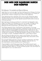 Vorschau - Stundenentwürfe - Materialpaket Verdauungssystem - Seite 3