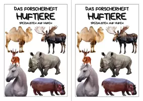 Vorschau - Arbeitsblätter - Wirbeltiere entdecken – Forscherhefte für den Biologieunterricht - Materialpaket - Seite 3