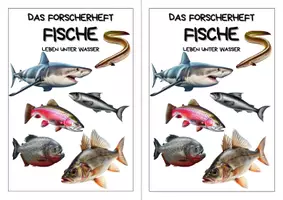 Vorschau - Arbeitsblätter - Forscherheft - Fische - Eigenständiges Arbeiten - Seite 2