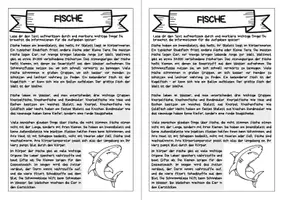 Vorschau - Arbeitsblätter - Forscherheft - Fische - Eigenständiges Arbeiten - Seite 3