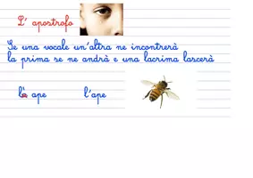 anteprima - Schede informative - Quando si usa l'apostrofo e l'accento - Pagina di copertina