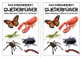 Vorschau - Arbeitsblätter - Forscherheft - Gliederfüßer - Eigenständiges Arbeiten - Seite 2