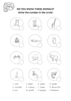Vorschau - Unterrichtsreihen - Brown Owl at the Zoo - WORKBOOK/WORKSHEETS - Seite 2