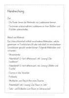 Vorschau - Stundenentwürfe - Laubbäume Bäume Blätter Unterrichtseinheit - Seite 2