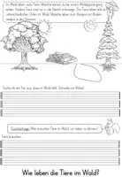 Vorschau - Arbeitsblätter - Wald - Flipbook für den Sachunterricht - Seite 3
