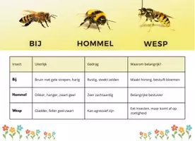 Voorbeeld - Materiaal pakket - Pagina 2