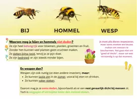 Voorbeeld - Materiaal pakket - Pagina 3