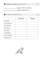 Vorschau - Fördermaterial/Inklusion - Mini-Test heimische Vögel - Seite 1