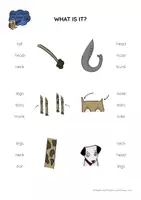 anteprima - Didattica a stazioni - Zoo Animals - BODY PARTS Peg Cards - Pagina 1